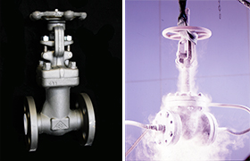 ゲート弁/グローブ弁/チャッキ弁